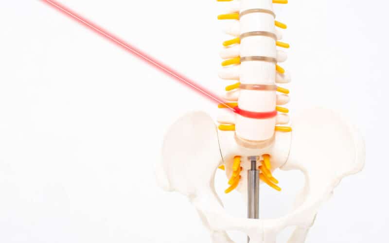 Human Spine in 3d