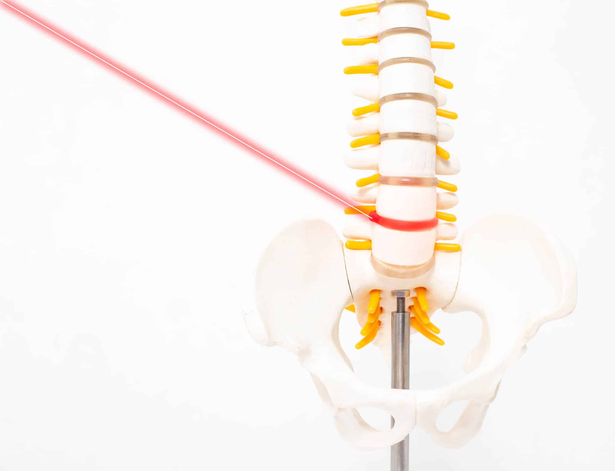 Human Spine in 3d
